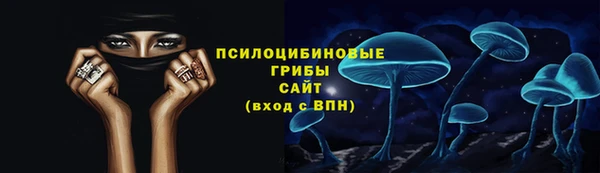 эйфоретик Алексин