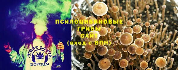 эйфоретик Алексин