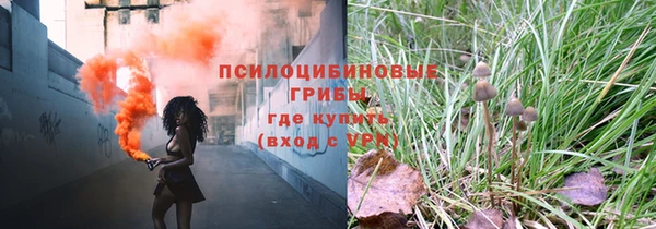эйфоретик Алексин