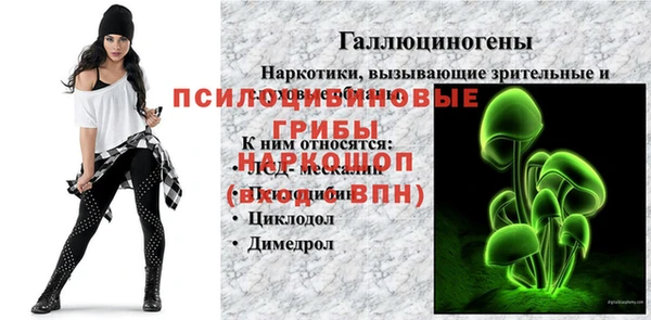 скорость Алзамай